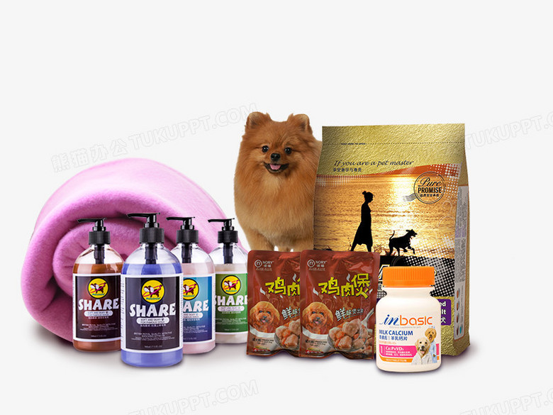 寵物用品PNG與PSD格式素材免費(fèi)下載 熊貓辦公數(shù)碼產(chǎn)品專區(qū)