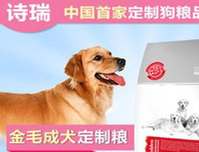 寵物用品加盟排行榜與加盟費(fèi)分析 兼論數(shù)碼類寵物產(chǎn)品發(fā)展趨勢