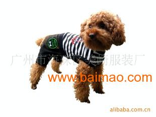 開拓歐洲寵物服裝市場 阿里巴巴平臺大批發(fā)供應(yīng)指南